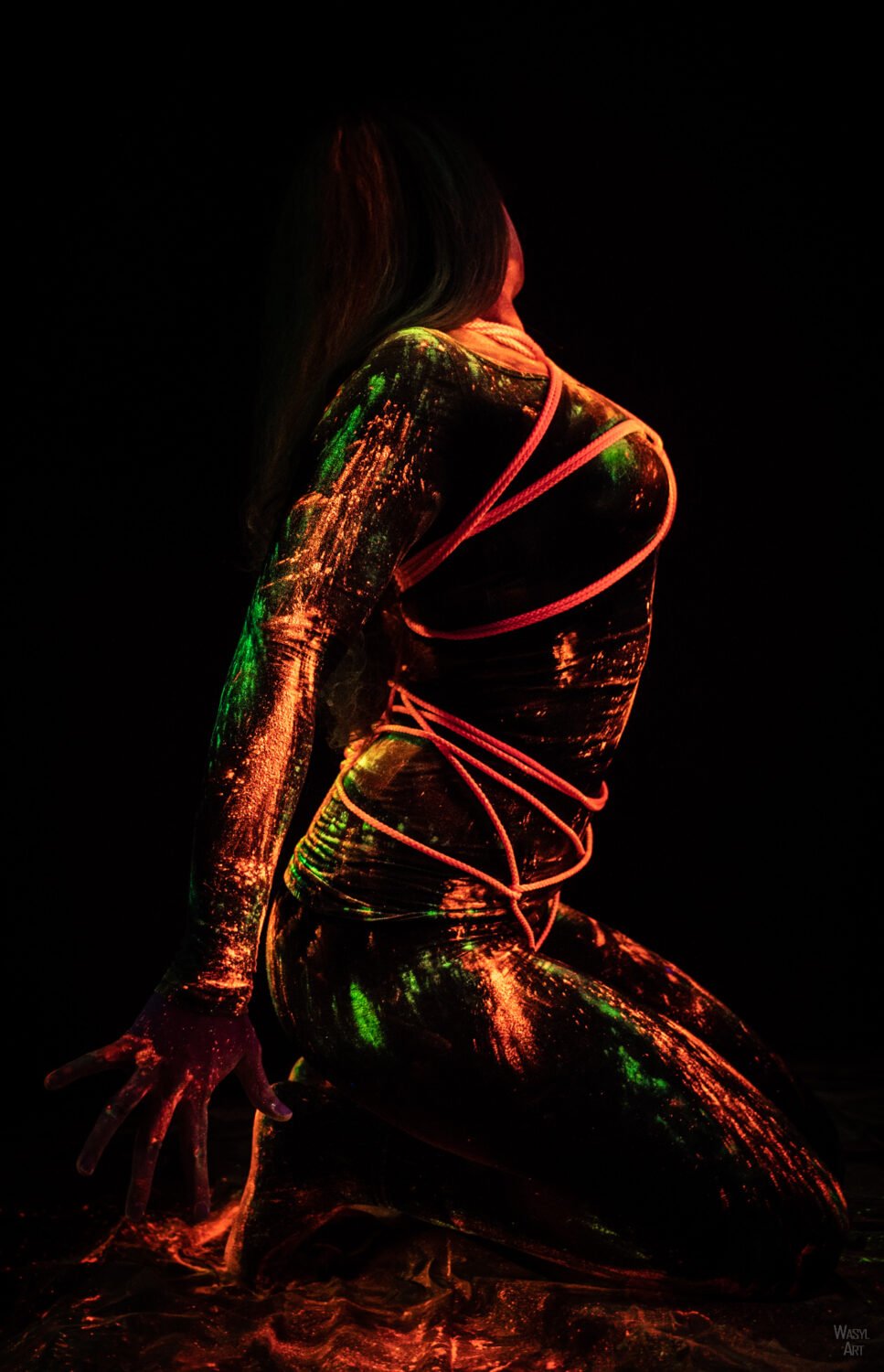 Read more about the article Holi Shibari