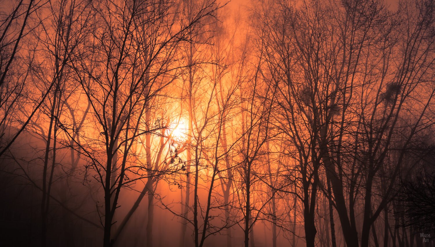 Read more about the article Nuklearna Polska