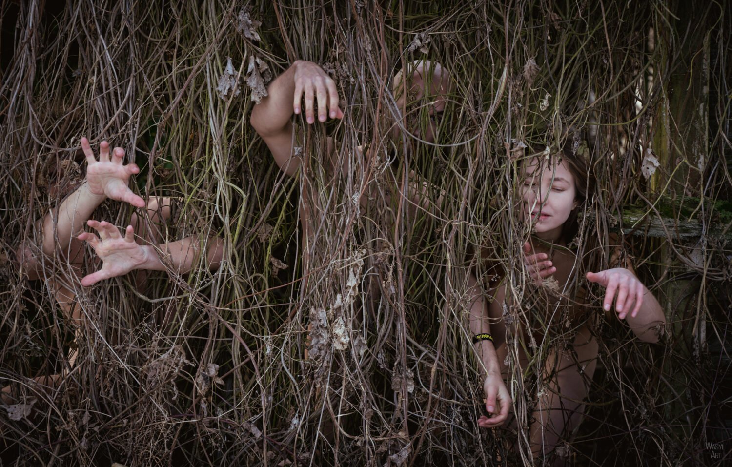 Read more about the article Kwiatkowice