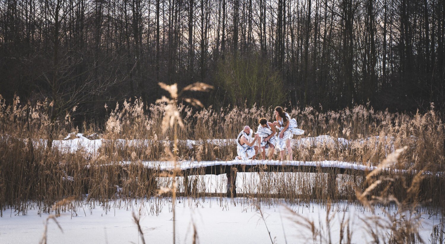 Read more about the article Termoizolacja