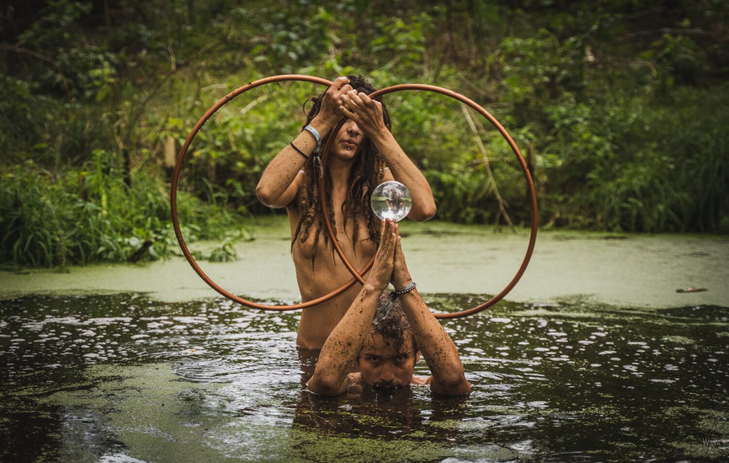 Read more about the article Bagienny Poter