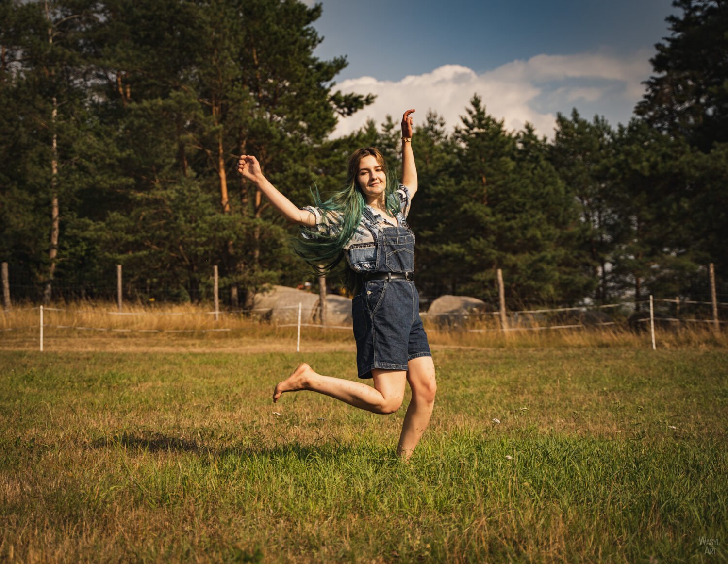 Read more about the article Fruniemy