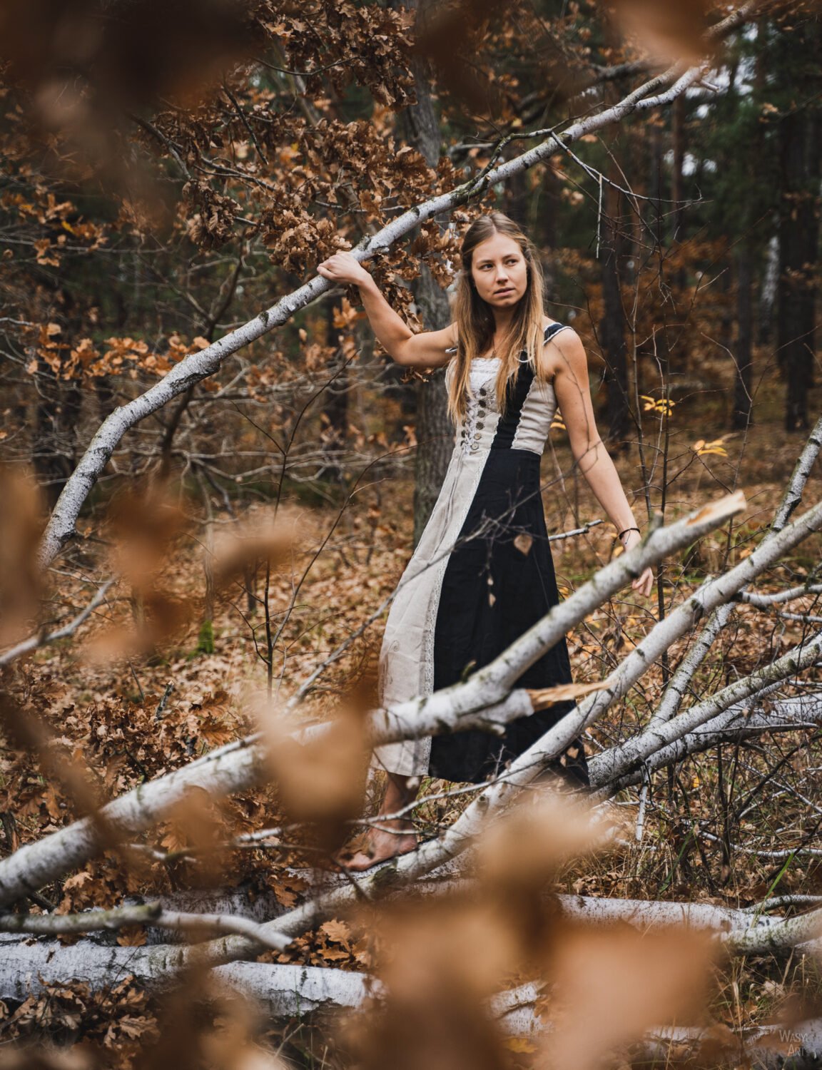 Read more about the article Gniazdo