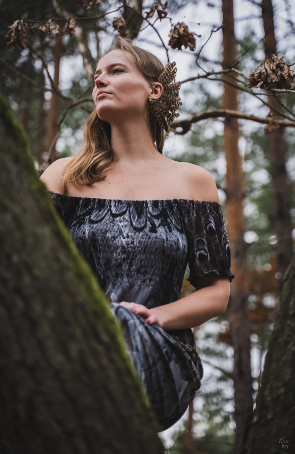 Read more about the article Gniazdo