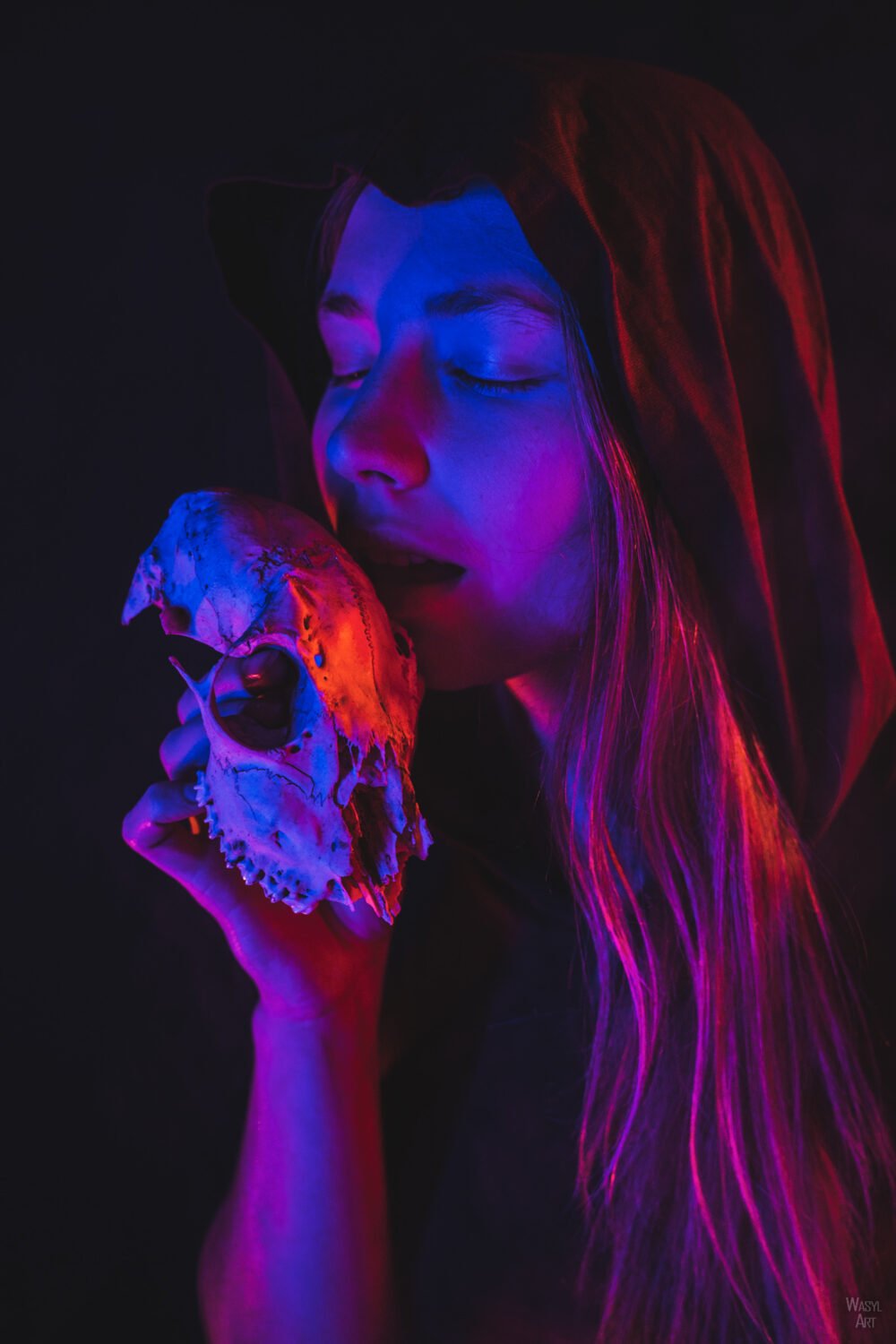 Read more about the article Neon Ada